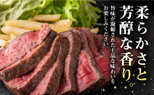 【全6回定期便】 壱岐牛 ロースブロック 500g《壱岐市》【株式会社イチヤマ】[JFE037] 定期便 赤身 肉 牛肉 ロース ブロック ステーキ 焼肉 焼き肉 ブロック肉 塊肉 BBQ 17400