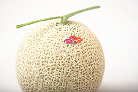 【通年栽培】純系マスクメロン２玉（化粧箱入）【４月発送分】