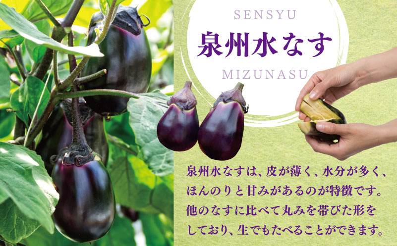【先行予約】朝採り直送 徳用水なす 15個 訳あり 規格外 099H4539