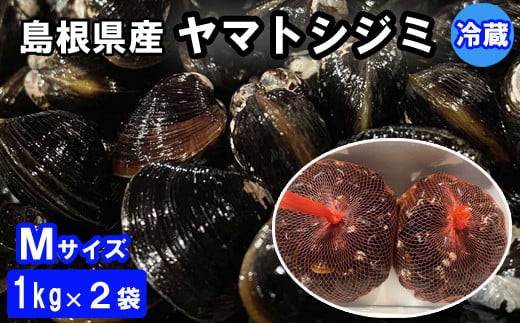 
                  日本一！ヤマトシジミ！Mサイズ2kg（1kg×2袋） ｜ 大和しじみ 貝 生 冷蔵 大粒 島根県産 味噌汁 酒蒸し 炊き込み ご飯  kai cai 栄養 料理 調理 レシピ 島根県 出雲市
                
