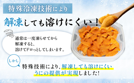 【ふるなび限定】北海道登別近海産エゾバフンウニ（冷凍パック）100g 　　 　　　　　　　　　　　　　　　　　　　　　　　　　　　　　　　　　　　　　　【ウニ ｳﾆ うに 雲丹 ｴｿﾞﾊﾞﾌﾝｳﾆ エ