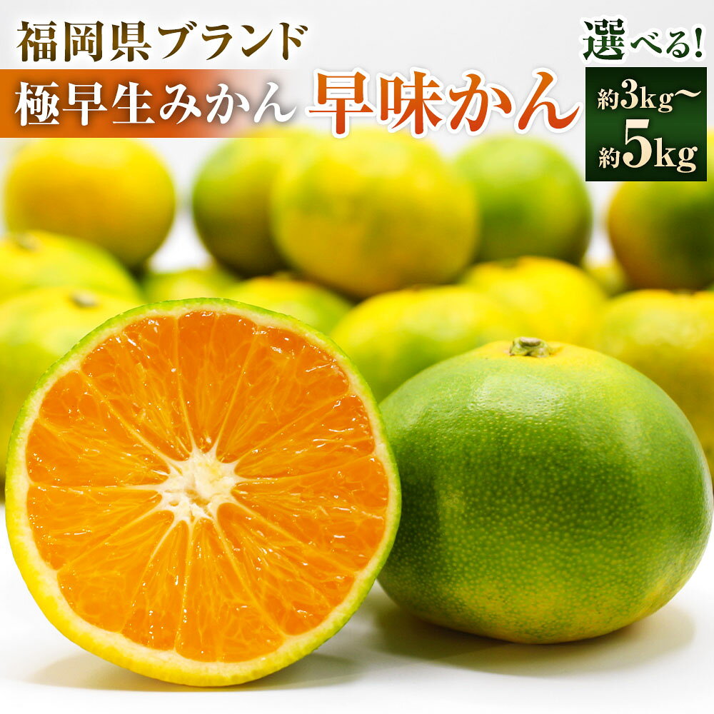 【ふるさと納税】 福岡県ブランドみかん「早味かん」＜選べる容量＞約3kg/約5kg みかん 極早生 新品種みかん 裏切りみかん フルーツ 果物 お取り寄せ 福岡県産 九州産 国産 冷蔵 送料無料【2026年9月下旬-10月下旬発送予定】
