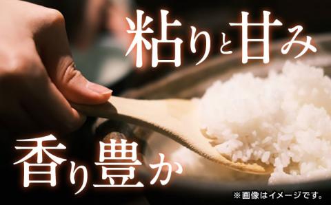 【もっちりとした粘りと甘さ】 さがびより 10kg /愛まんてん [UBD003] 白米 米 こめ コメ お米