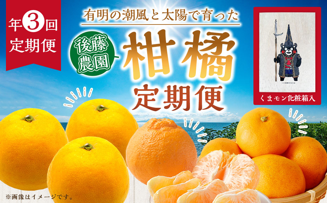 
            ～有明の潮風と太陽で育った～【年3回定期便】くまモン木箱入り！後藤農園の柑橘定期便 みかん ／ 年3回 3種類 計約52玉前後 ミカン 蜜柑 不知火 河内晩柑 晩柑 フルーツ 果実 果物 くまモン 後藤農園 定期便 九州 熊本県 常温
          