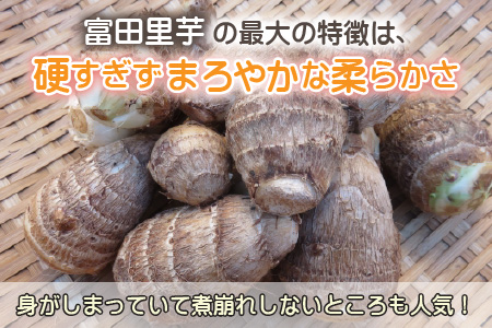 【先行予約】希少！とみた里芋 3kg ねっとりまろやか煮崩れなし！【11月～年内出荷】 