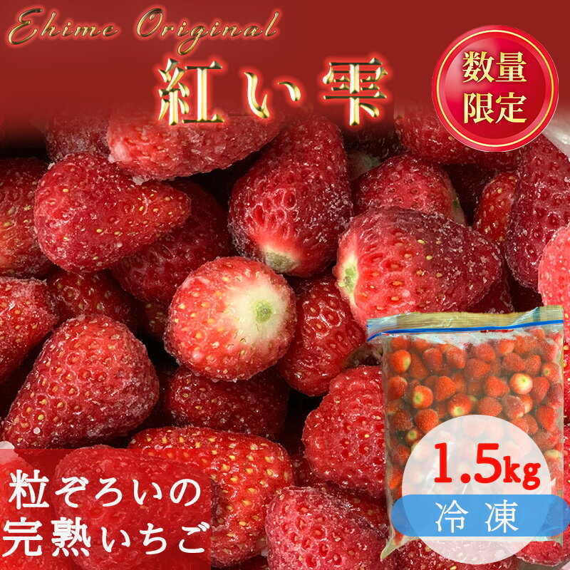 【ふるさと納税】 【2025年3月から発送】愛媛県オリジナル品種 紅い雫の冷凍イチゴ 1.5kg |（ 先行予約 いちご 苺 イチゴ 甘い フルーツ 果物 ジャム ヨーグルト アイスクリーム スムージー グラノーラ お菓子作り 朝食 愛媛県 松山市 ）