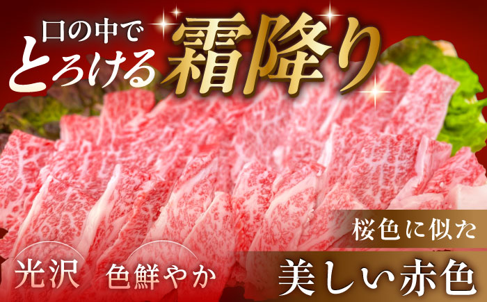 【チルド（冷蔵）発送！】 「飛騨牛」 A5等級 バラ 300g / 牛肉 焼肉 鉄板焼き 網焼き BBQ / 恵那市 / 東美濃農業協同組合 [AUFX001]