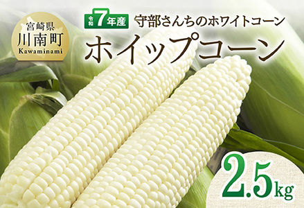 【令和7年度産】守部さんちのホワイトコーン「ホイップコーン」2.5kg【 とうもろこし ホワイトコーン トウモロコシ ホイップコーン 令和7年発送 先行予約 数量限定 期間限定 】