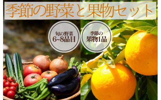 湯の花　季節の野菜と果物セット　 柑橘  果物 野菜 静岡県産 南伊豆町 おまかせ 旬 みかん やさい　<BC-82>
