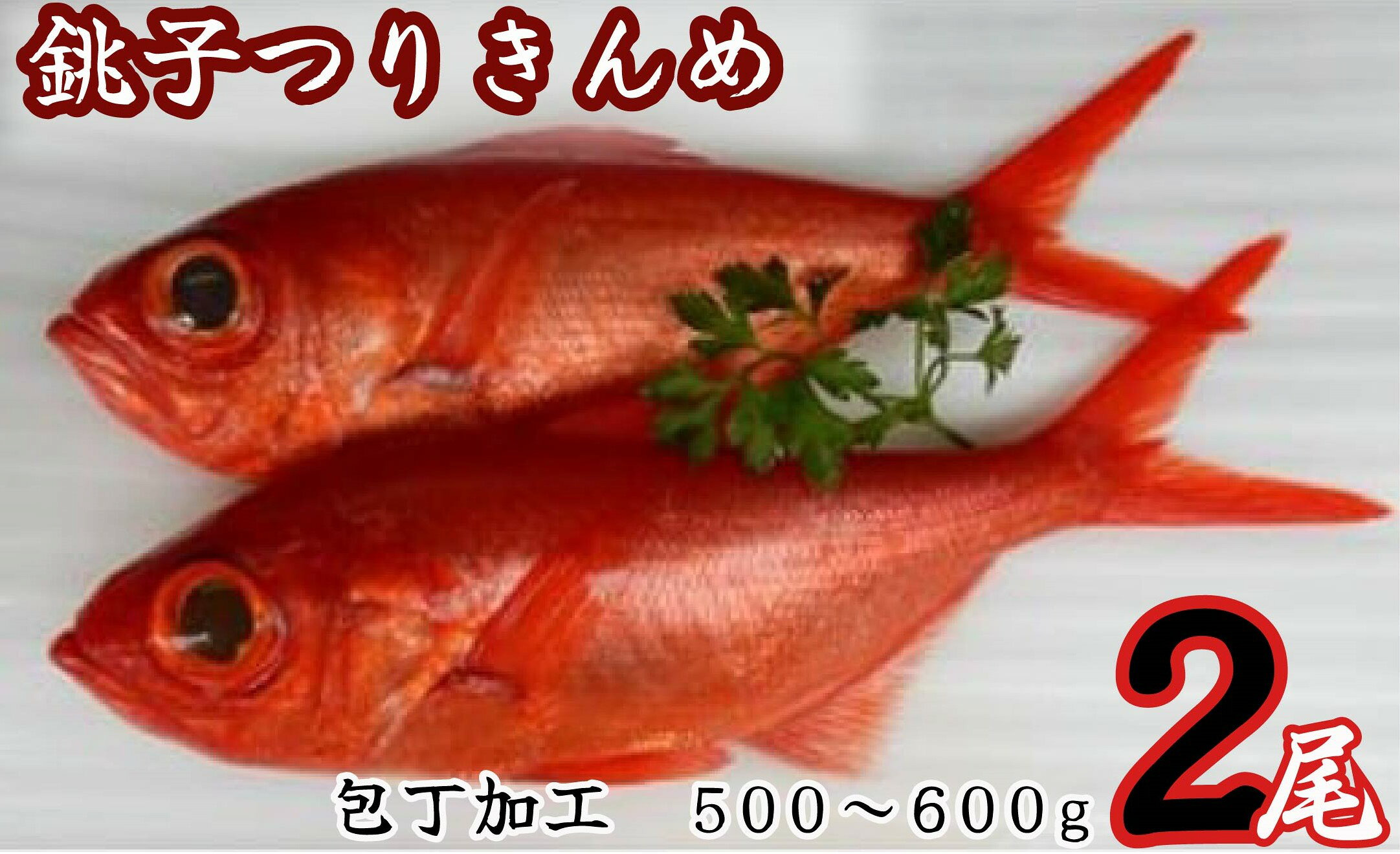 【ふるさと納税】 銚子つりきんめ 包丁加工500〜600g 2尾入（冷凍）きんめだい キンメダイ 金目鯛 高級魚 処理済み レシピ付き ギフト 贈り物 贈物 贈答品 父の日 母の日 お誕生日 誕生日 敬老の日 お正月 お取り寄せ 送料無料 煮付け 塩焼き お祝い 一本釣り 千葉県 銚子市