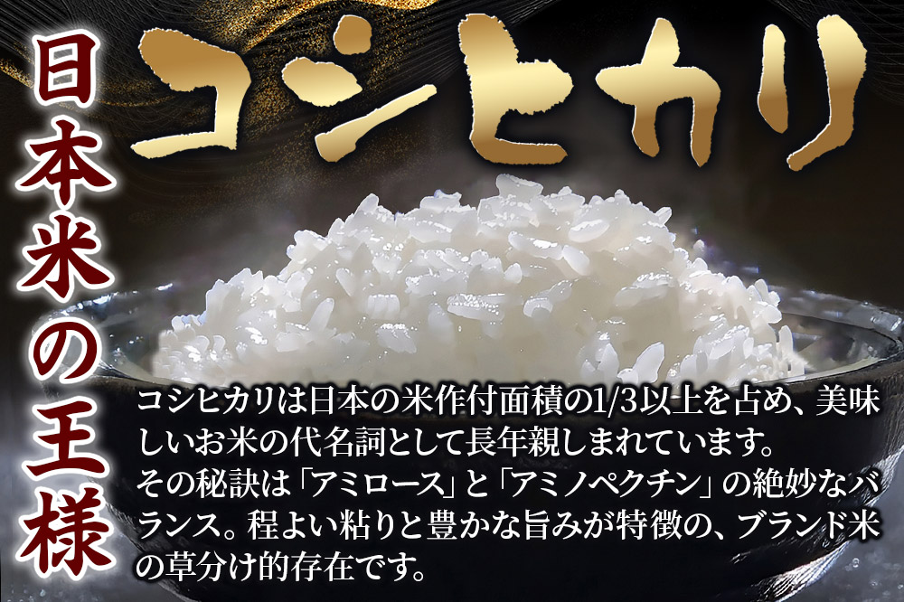 《定期便12ヶ月》【令和7年産・玄米】宮城県栗原産 コシヒカリ 毎月5kg (5kg×1袋)×12ヶ月