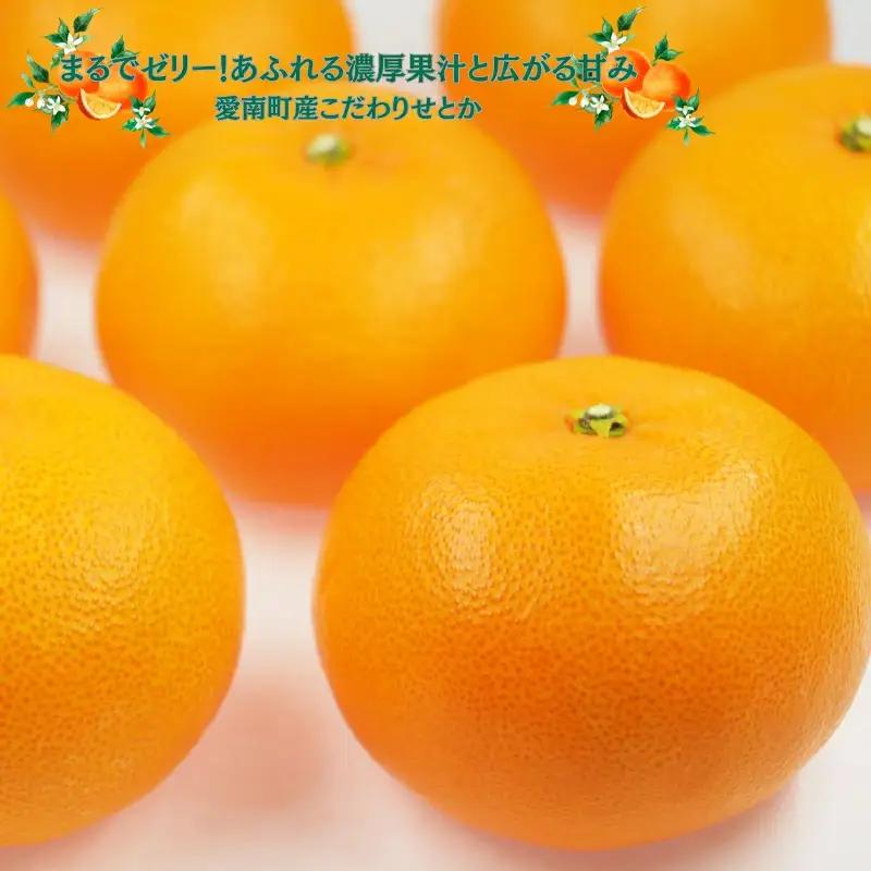 【先行予約】 せとか 2kg 精品 ハウス栽培 みかん 贈答 ギフト プレゼント 愛媛県 愛南町 豊田農園