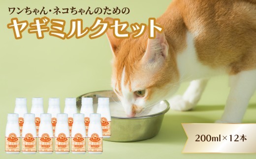 
            ワンちゃん、ネコちゃんの大好きなヤギミルク　200ml×12本 ペットフード 栄養 猫 犬 発育 促進 国産 ミルク フード 安心 ペット R14080
          