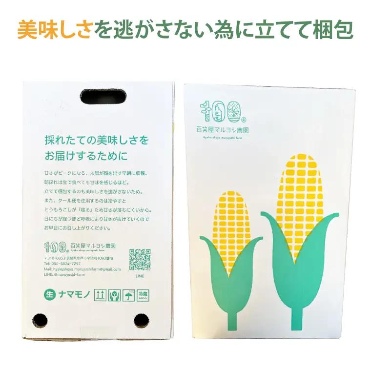 【数量限定】とうもろこし おまかせ1品種（9～10本） 茨城県 水戸市（IW-1）