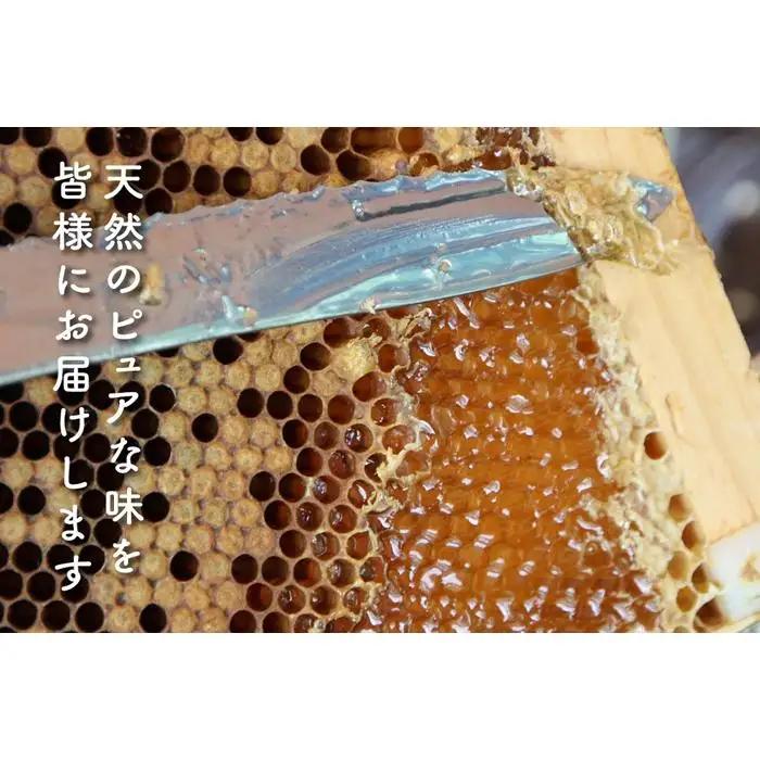 さいき養蜂園　非加熱蜂蜜　そば　１kg×２本【ハチミツ 蜂蜜 ハニー 非加熱 セット 健康食品 国産 保存 備蓄 防災 非常食 常温】
