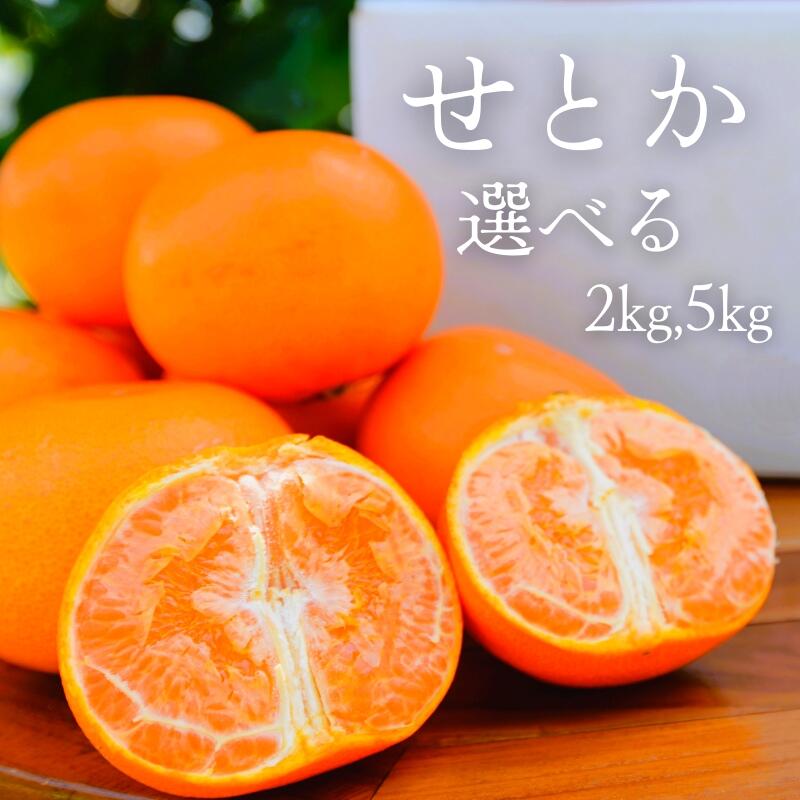 【ふるさと納税】【先行予約】せとか 【選べる容量2kg 5kg】※2026年3月下旬以降随時発送予定 / 田辺市 和歌山 みかん ミカン 柑橘 温州みかん フルーツ オレンジ せとか