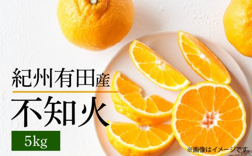 G7356_不知火 5kg デコポン 柑橘の王様 甘い プリプリ ジューシー 濃厚 フルーツ 果実 果物 柑橘 紀州有田産 国産 食品 食べ物 お取り寄せ 魚鶴商店 和歌山県 湯浅町 送料無料