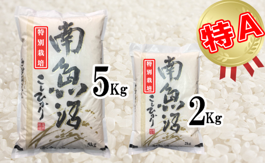 【定期便：5Kg×12ヶ月】特別栽培 生産者限定 南魚沼しおざわ産コシヒカリ