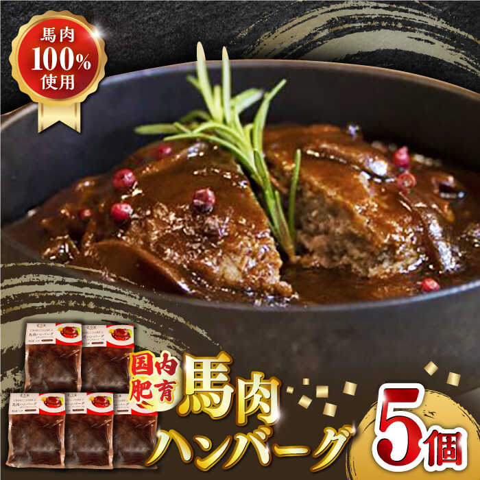 【ふるさと納税】国内肥育 冷凍 馬肉ハンバーグ 計1kg ( 200g × 5個 ) デミグラスソース入り 小分け 個包装 惣菜 湯煎 熊本【有限会社 丸重ミート】[YAK012]