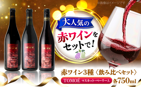 三次のMBAを味わうマスカット・ベーリーA 3ヴァインヤードセット ワイン 受賞 飲みワインセット ギフト[APAZ031] ワイン ワイン ワイン ワイン ワイン