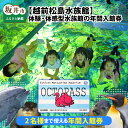 【ふるさと納税】【越前松島水族館】 特別年間パスポート「オクトパス」 【水族館 入場券 チケット 券 観光 旅行 年間パスポート 年パス 利用券 入館券 体験 夏休み アウトドア】