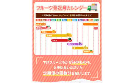 【 定期便 12回 】 プチっと 堪能 ！ 人気 フルーツ
