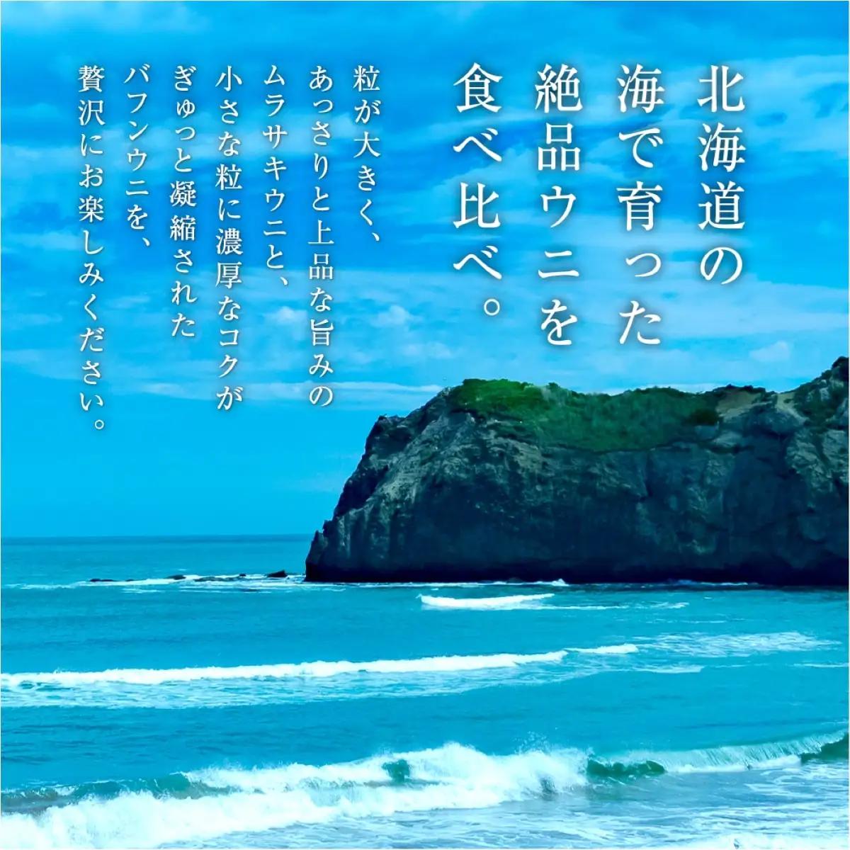 幸福雲丹160gセット(ムラサキ80g・バフン80g 北海道産)_Y038-0169