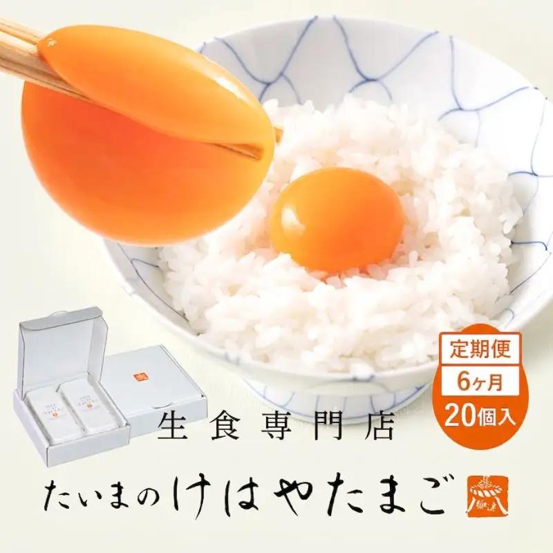 たいまのけはやたまご　20個入　6ヶ月定期便　／　定期便　たまご　生卵　奈良県　葛城市【tegg-tkb002】