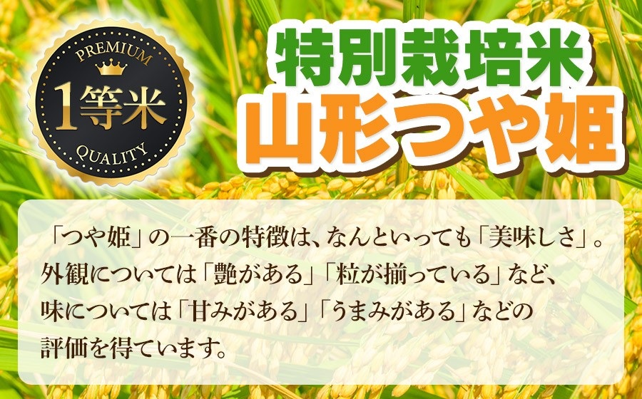 【令和7年産】特別栽培米つや姫 精米 10kg (5kg×2袋)　山形県鶴岡市　庄内丸山農場　| つやひめ 10キロ 米どころ 庄内米 ブランド米 米 コメ こめ 精米 ご飯 ごはん 美味しい お取り