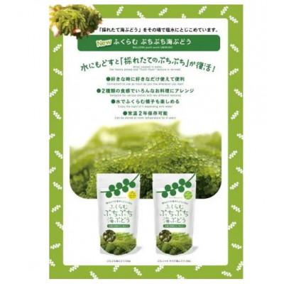 ふるさと納税 糸満市 ふくらむぷちぷち 海ぶどう 塩水タイプ 140g 2種 各2パック お試しセット 食べ比べ |  | 01