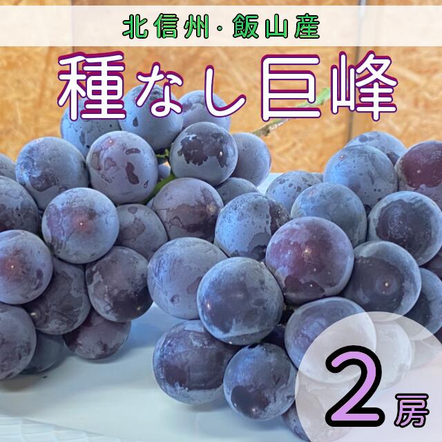 【ふるさと納税】＜先行予約＞ 飯山市産 種なし巨峰 2房 (7-A20) ＜出荷開始：2025/9月上旬～下旬頃＞【 果物 くだもの フルーツ 葡萄 ぶどう きょほう 種なし 長野 長野県 飯山市 ギフト プレゼント 記念日 誕生日 父の日 母の日 敬老の日 記念品 残暑見舞い】