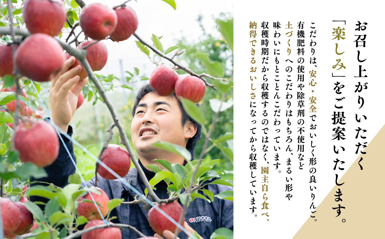 年明け発送 【訳あり】家庭用ぐんま名月約３ｋｇ（糖度証明書付き） 【那由多のりんご園　平川市産】