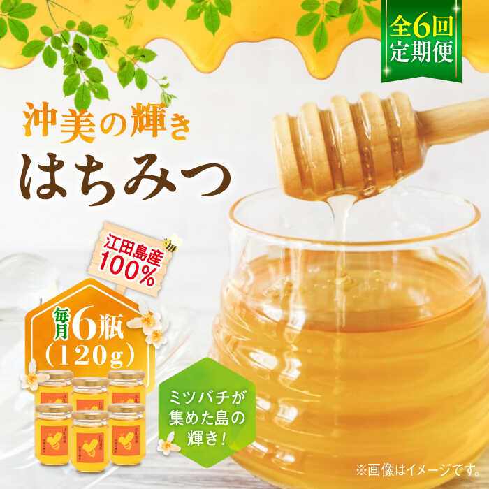 【ふるさと納税】【全6回定期便】江田島産100％ はちみつ 沖美の輝き120g×6本 ハチミツ 蜂蜜 国産 広島 江田島市/はつはな果蜂園 [XCD022] ハチミツ 国産蜂蜜 国産はちみつ 純粋はちみつ 人気 備蓄 非常食 保存食 産地直送 定期便