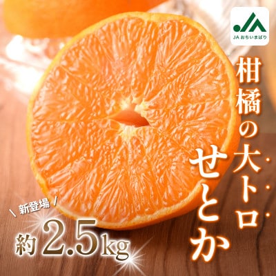 【先行予約】せとか 2.5kg 家庭 柑橘 柑橘の大トロ　小箱【配送不可地域：離島】【1738873】