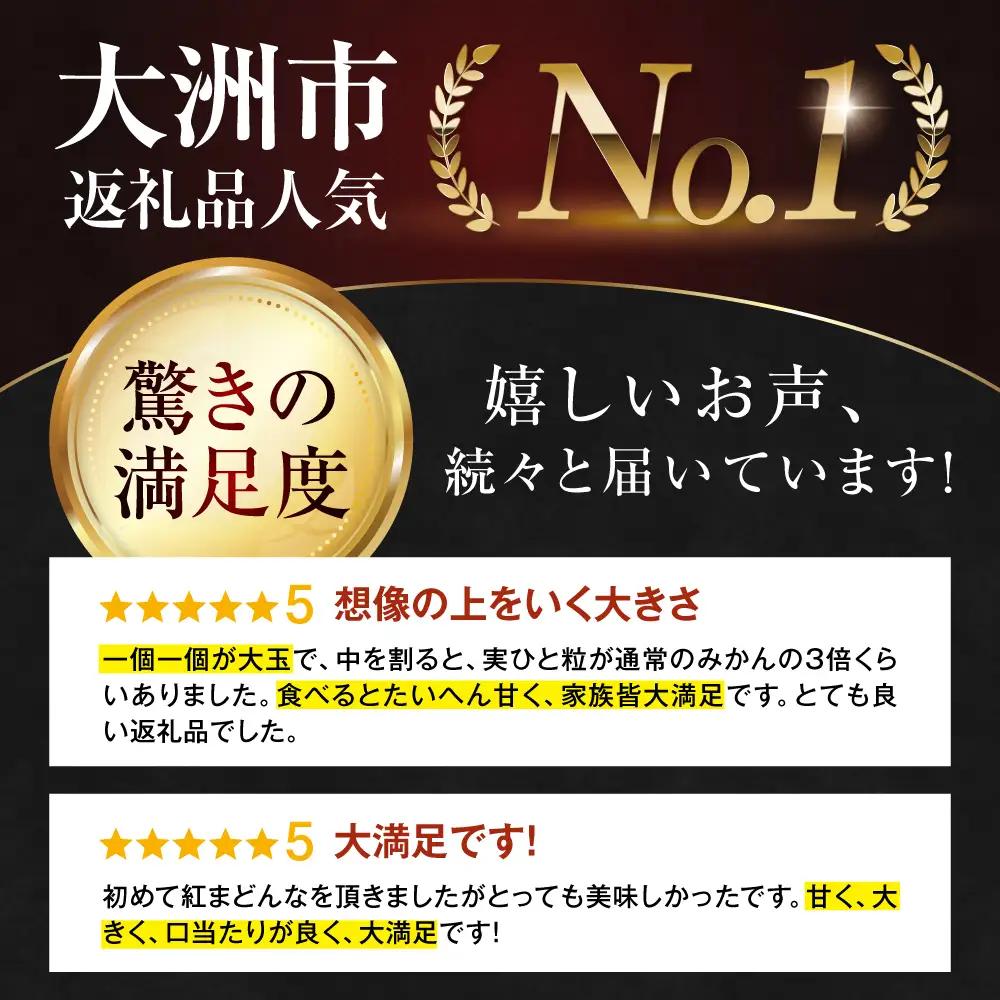 【11月下旬から順次発送】紅まどんな 約6kg（8から12玉入 3kg×2箱）[AGAO016]紅まどんな みかん 果物 フルーツ