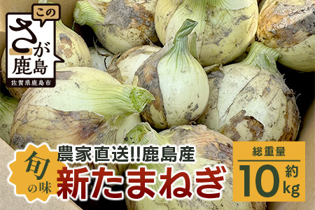 【先行予約】【2025年4月より順次出荷】【生産者直送】鹿島産 新たまねぎ 約10kg サイズ混合 | ふるさと納税 玉葱 野菜 玉ねぎ タマネギ 新玉ねぎ 国産 佐賀県産 鹿島市 安心 安全 満足 リピーター 高評価 人気 送料無料 AA-17