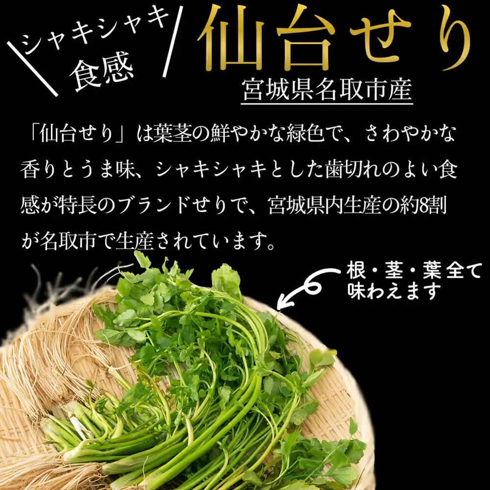 鍋【期間限定】【お届け日時指定必須（10月1日以降お届け）】 仙台せり鍋セット 美味なる根っこ（4～5人前）  漁亭 浜や 名取名産 美味なる根っこを食す