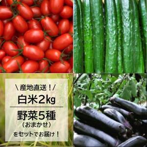 【毎月定期便】産地直送!米と野菜の詰め合わせ定期便【小浦れんげ米(精米)2kg+新鮮野菜5種】全3回【配送不可地域：離島】【4080160】