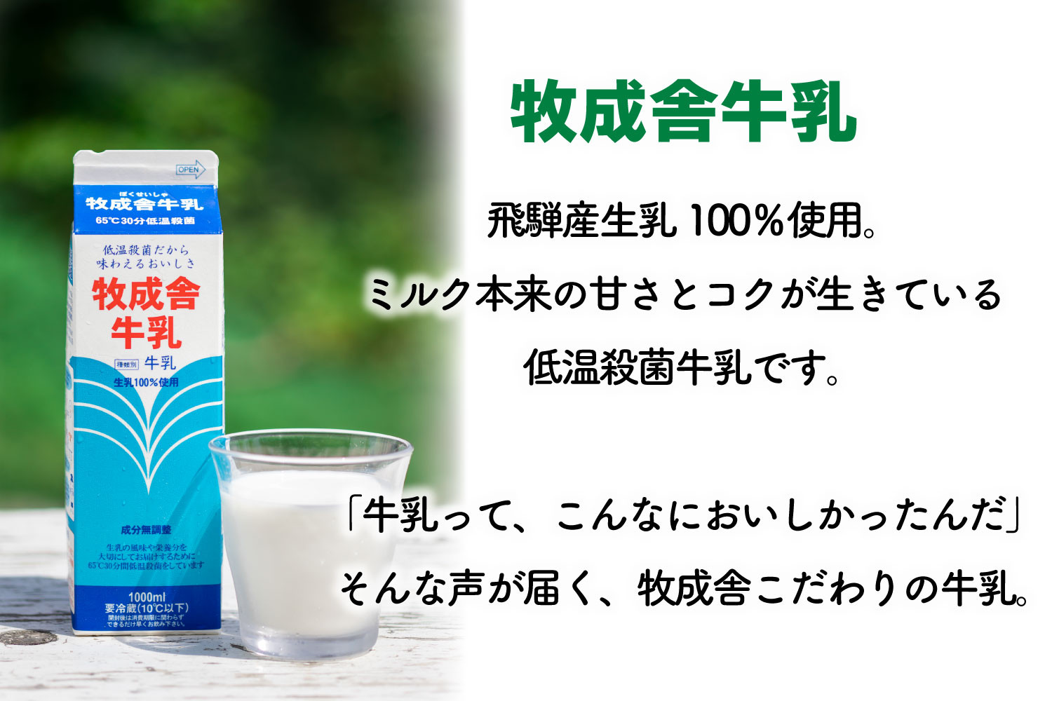 【3か月定期便】牧成舎の飛騨産低温殺菌牛乳と飲むヨーグルトセット｜牛乳1000ml×2本＋のむヨーグルト750ml×1本｜食品添加物不使用・お取り寄せ・健康習慣｜ (有)牧成舎 DF236