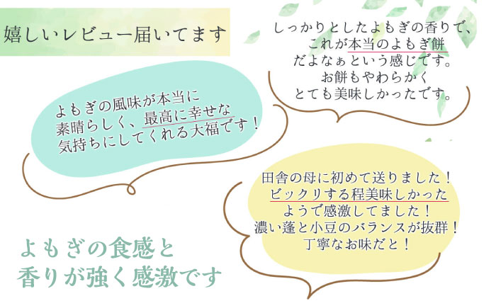 天然よもぎを使用した よもぎ大福10個 / よもぎ ヨモギ 大福 だいふく まんじゅう 和菓子 よもぎ餅 ヨモギ餅 もち / 恵那市 / 良平堂 [AUDB037]