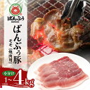 【ふるさと納税】ブランド豚「ばんぶぅ」小分け モモ焼肉用 1kg 2kg 4kg 豚肉 モモ肉 もも肉 焼き肉 焼肉用 焼き肉用 ぶた肉 ブタ肉 国産 茨城県産 ギフト プレゼント 冷凍 高級部位 ブランド豚