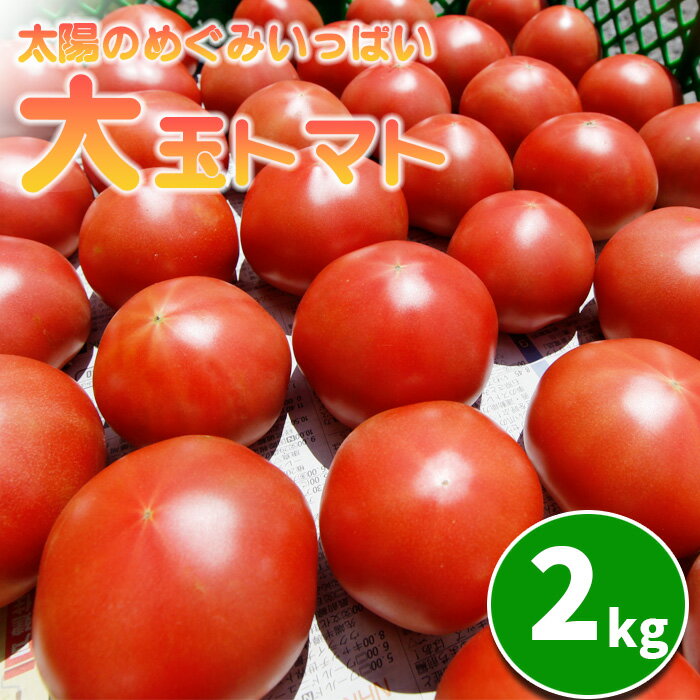 【ふるさと納税】 岩手県産 こだわり 大玉 トマト 約2kg ／ とまと 新鮮 野菜 2キロ 夏野菜 旬 旬野菜 夏 季節限定 期間限定 サラダ リコピン 生食 家庭用 自宅用 ソース お取り寄せ 取り寄せ おすすめ 美味しい 人気 岩手県 八幡平市 産地直送 農家直送 送料無料 田村和大