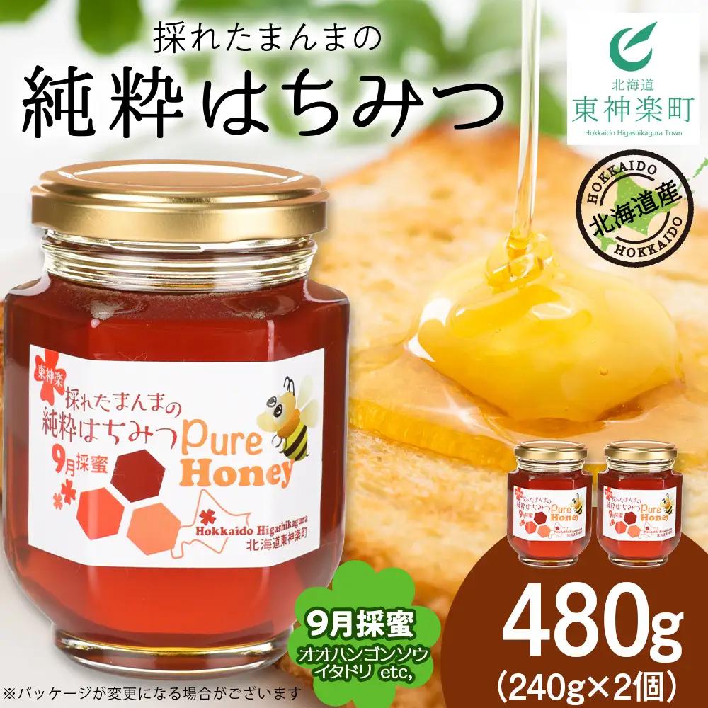 東神楽産採れたまんまの純粋はちみつ 240ｇ2個【9月採密】オオハンゴンソウ・イタドリ  etc.