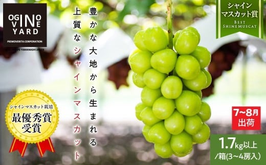 【2026年先行予約_7月上旬～発送】山梨県産早期出荷シャインマスカット １．7ｋｇ以上／箱　３～４房入 ALPAK011｜おすすめ 人気 山梨県 産地直送 フルーツ 果物 くだもの ブドウ ぶどう シャイン マスカット くだもの 国産 葡萄 新鮮