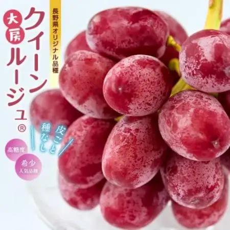 厳選 大房クイーンルージュ(R) 秀品 1房(約600g)【配送不可地域：離島】【1631275】