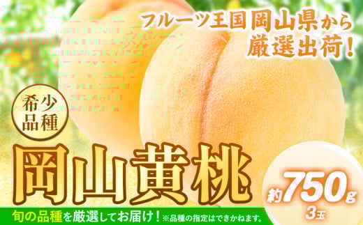 桃 【先行予約】 岡山県産 岡山黄桃 約750g《2025年8月下旬-9月下旬頃出荷》 黄桃 フルーツ 果物 先行予約 数量限定 岡山 矢掛町 桃 モモ もも 送料無料 黄金桃 お取り寄せ