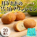 【ふるさと納税】月うさぎの佐伯マリンレモン (計20個) レモン レモンケーキ スイーツ スウィーツ 菓子 焼き菓子 洋菓子 おやつ セット 個装 大分県 佐伯市【ER004】【(株)古川製菓】