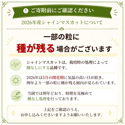 【全房糖度計測】糖度18度以上のみ出荷 シャインマスカット5kg(8～12房)2026年発送【配送不可地域：離島】