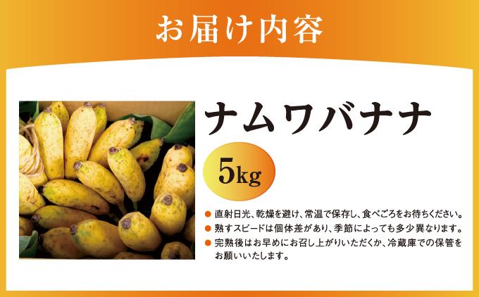 バナナ 南城市 ナムワバナナ 5kg