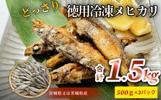 徳用冷凍メヒカリ（どっさり1.5kg）目光 魚 冷凍 唐揚げ 塩焼き 天ぷら お魚 おかず おつまみ